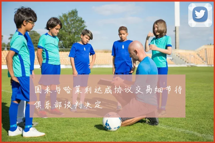 国米与哈莱利达成协议交易细节待俱乐部谈判决定